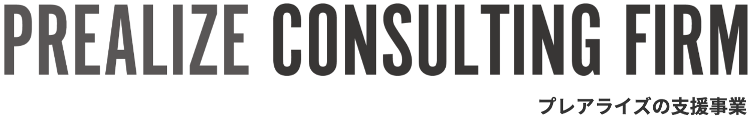 prealize consulting firm プレアライズの支援事業